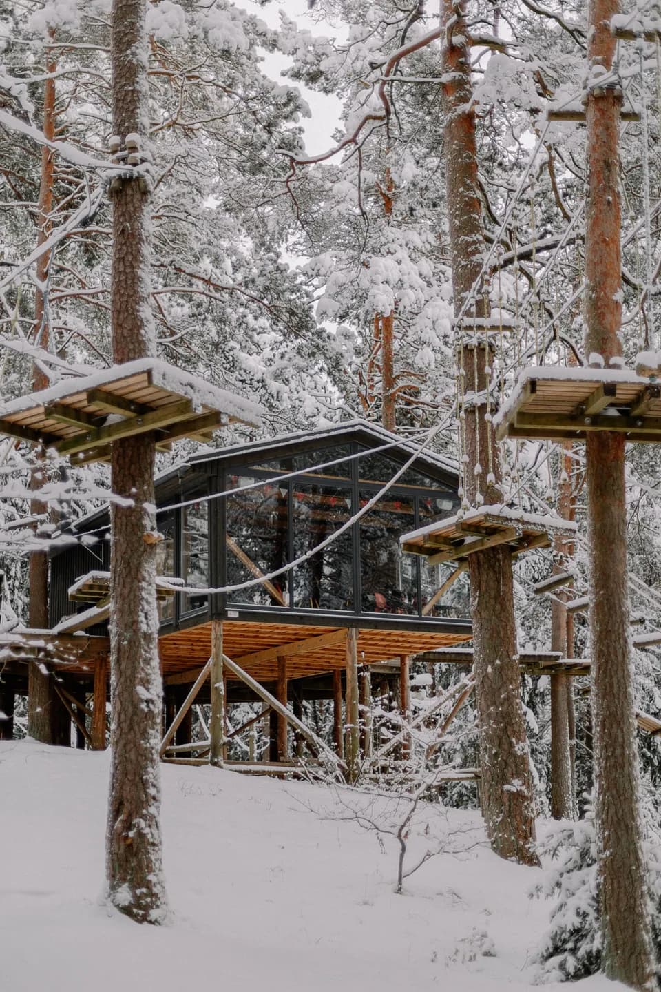 BookNoFees-voorbeeldfoto: een boomhut met ramen in een besneeuwd bos