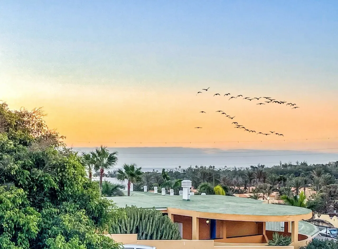 BookNoFees: Ferienwohnung in Costa Calma, Fuerteventura, Fuerteventura, Spanien – Ganze Unterkunft: Haus in Costa Calma, Fuerteventura, Fuerteventura, Spanien, Foto 1