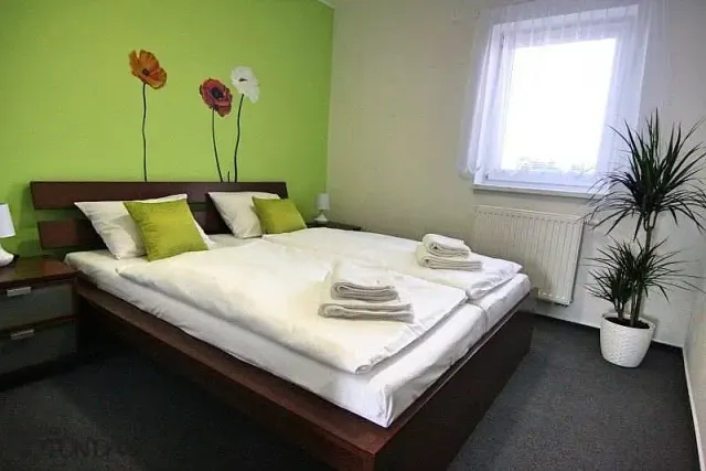 BookNoFees: Ferienwohnung in Jevišovka, Region Südmähren, Tschechien – Schlafzimmer mit Doppelbett, grüner Akzentwand mit Blumenaufklebern und einer Topfpflanze