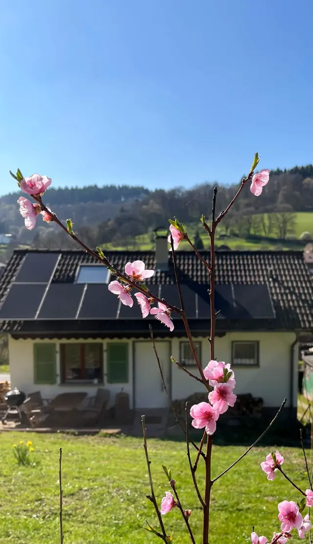 BookNoFees: Ferienhäusel Allemühl - ein Haus für euch allein! – Allemühl