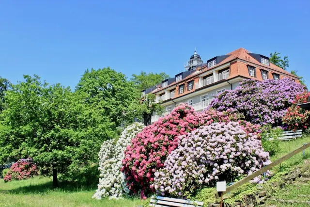 BookNoFees: Appartement de vacances « Nature et Art », Dresde, Suisse saxonne – Dresden