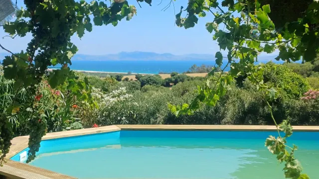 BookNoFees : location de vacances à Tarifa – Piscine avec terrasse en bois et vue sur la mer à travers les vignes