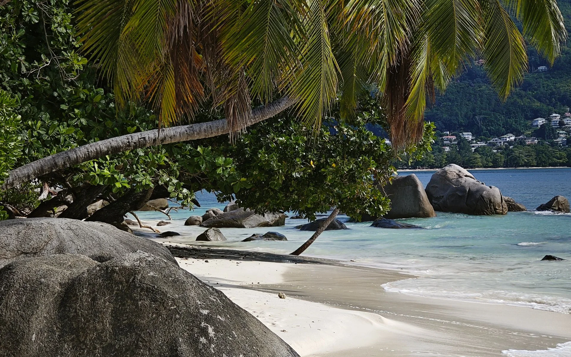 Palmen en rotsen aan het strand van Beau Vallon