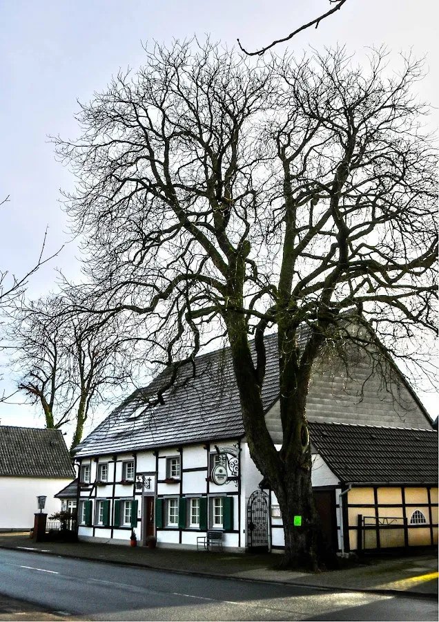 BookNoFees: Restaurant – Gaststätte Ziegler – Lippetal – Restaurant Ziegler, foto 1