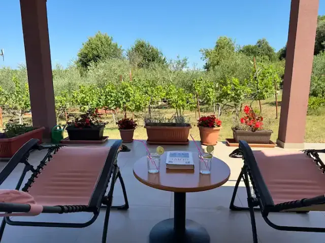 BookNoFees: vakantiehuis in Vinkuran – Overdekt terras met twee ligstoelen, een tafeltje met drankjes en potplanten, met uitzicht op de wijngaard