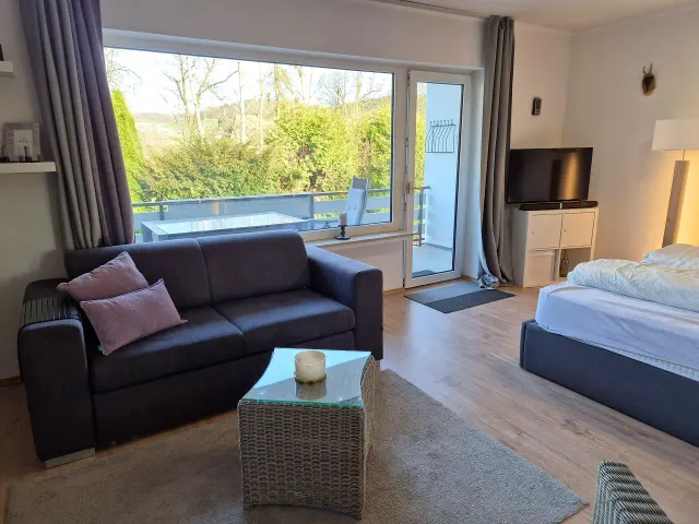BookNoFees: Rustig vakantieappartement aan het Sorpemeer met open haard en balkon – Sundern
