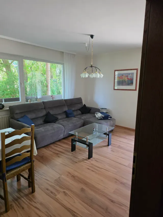BookNoFees: vakantiehuis in Willingen, Hessen, Duitsland – Woonkamer met een grijze hoekbank, een glazen salontafel en uitzicht op het bos door het raam