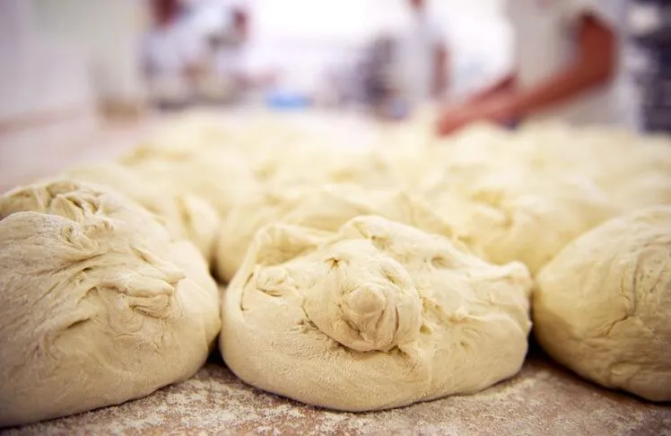 BookNoFees: Bakkerij – Aranycipó – Budapest – Spinnenweb, foto 1