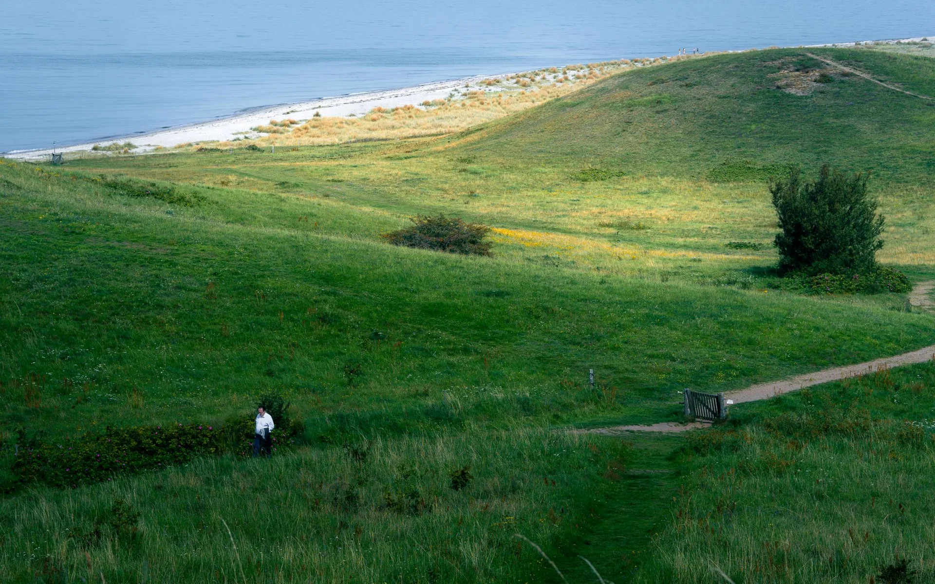 Groene heuvels en kust op het Deense eiland Samsø
